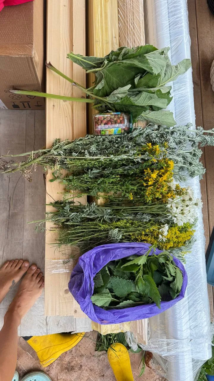 Нагуляла получается 😁🌿