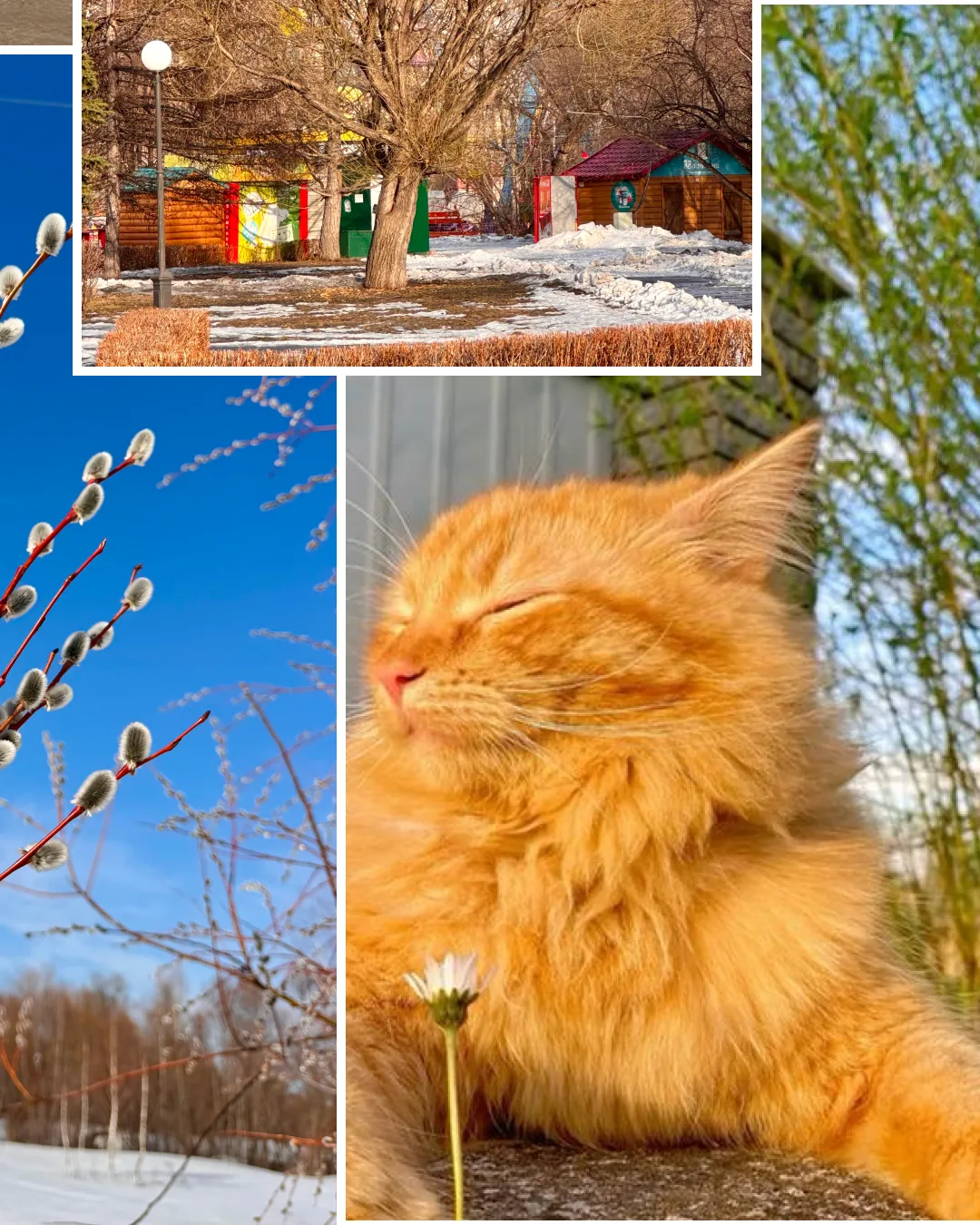 Эта весна такая... непостоянная ❤️  ➦ СибГИУ в  MAX