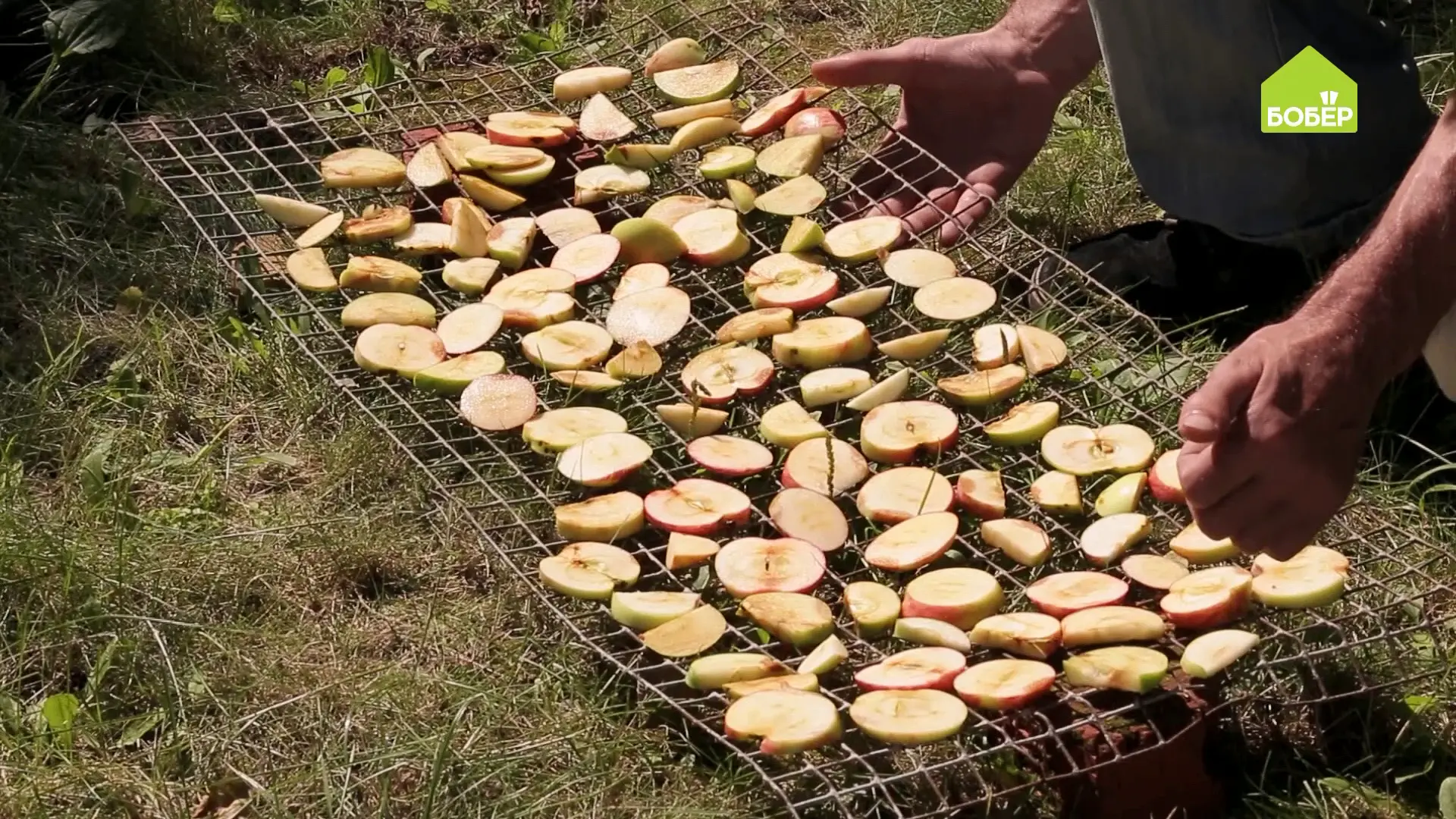 🍎 Чтобы при сушке яблоки не потемнели, поместите плоды на 3-4 минуты в солевой раствор слабой конце