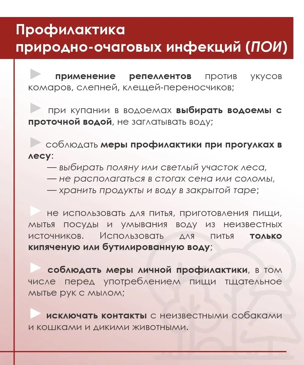 #Роспотребнадзор_напоминает о мерах профилактики природно-очаговых инфекций

ℹ Природно-очаговые зоо