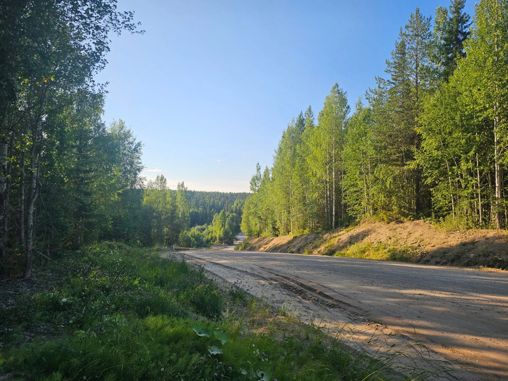 Утро на Русском Севере: там, где кончается асфальт 🌾