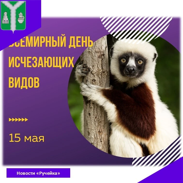 #рубрика_новостиРучейка

🐼 15 мая — день, когда мы обращаем свой взор на тех, кто находится на гран