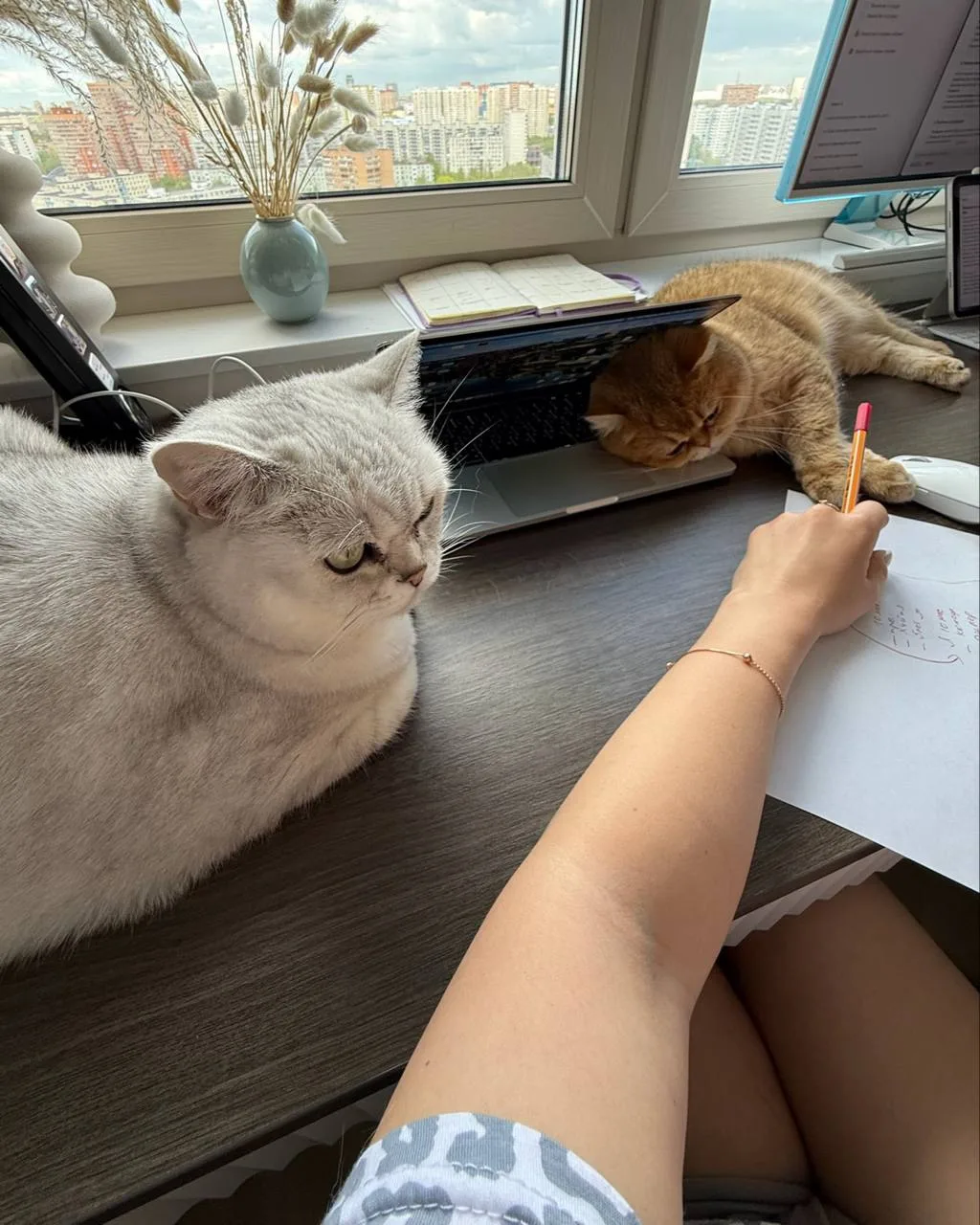 Список дел на сегодня:
1. не сегодня 🙊