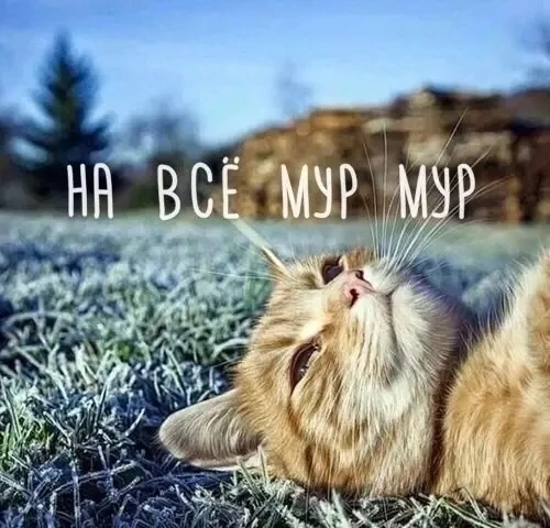 На этой неделе вы также увидите: