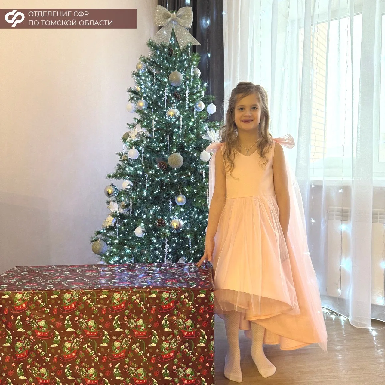 🎄✨ Управляющий Отделением СФР по Томской области Дмитрий Мальцев исполнил мечту юной Александры из Т