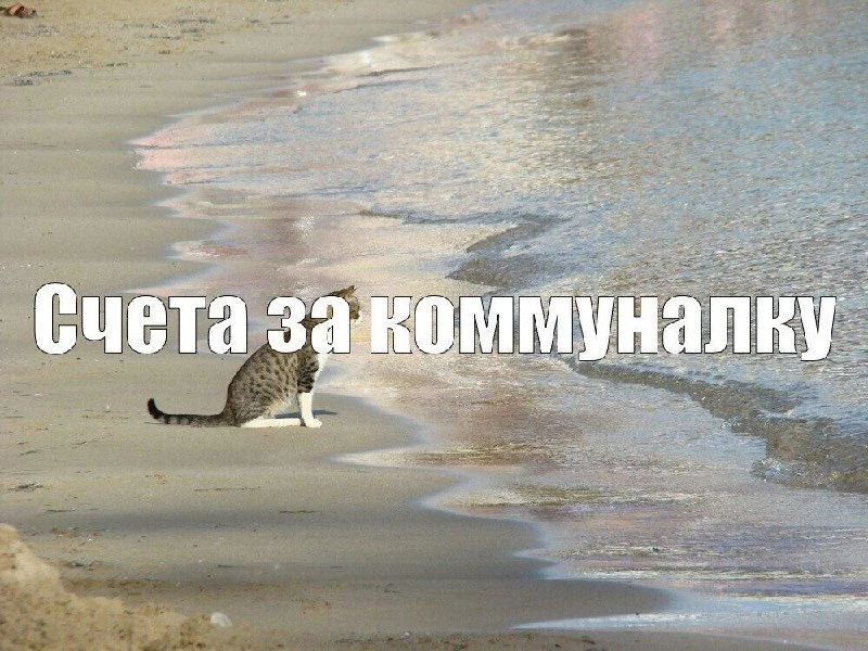 ❗️ФАС опровергла слухи о досрочной индексации тарифов ЖКХ.

В последнее время в интернете и СМИ писа