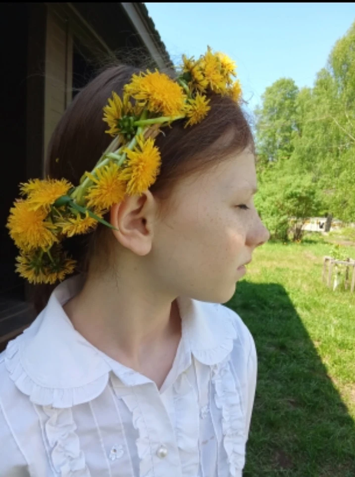 🌿🌿🌿Всемирный день одуванчика отмечается ежегодно 13 мая. Этот праздник посвящён одно...