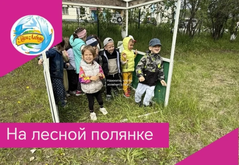 В средних группах « Звездочки» и « Смешарики « прошло развлечение « На лесной полянке»....