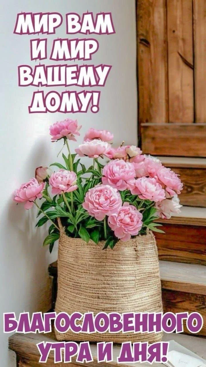 Мы в MAX
https://max.ru/id27362828231_biz