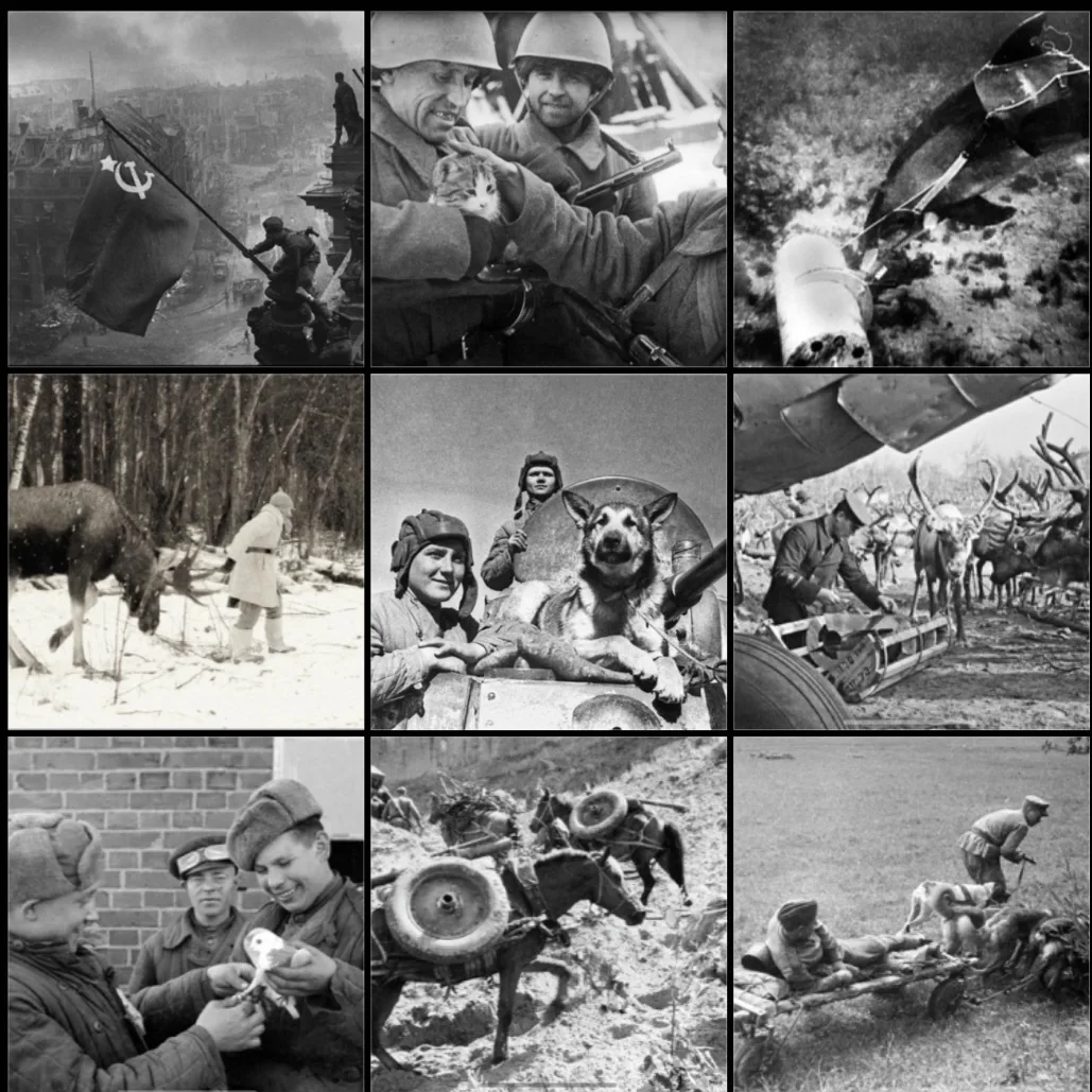 С ДНЁМ ПОБЕДЫ!🕊