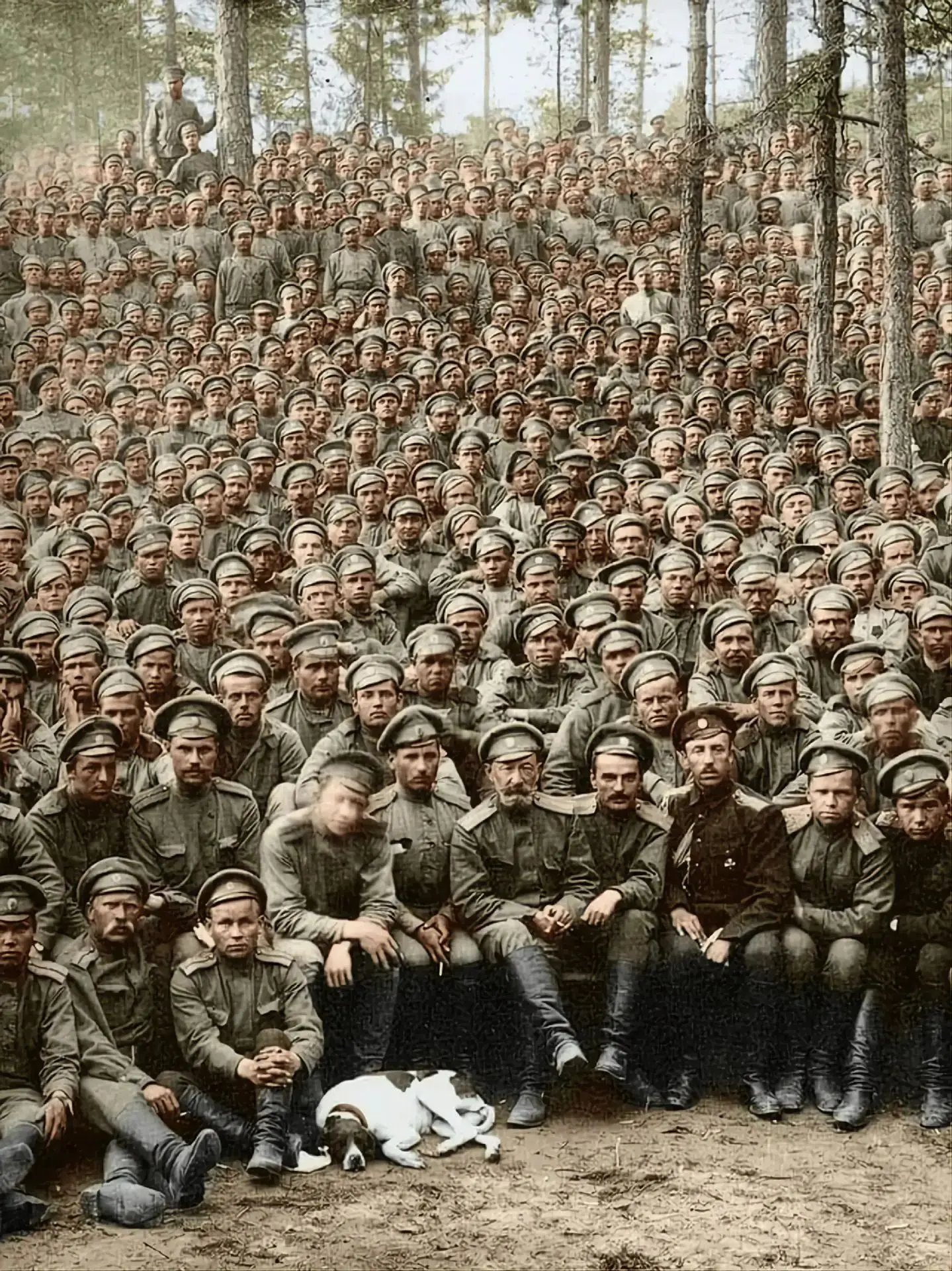 112 лет назад началась Первая мировая война.