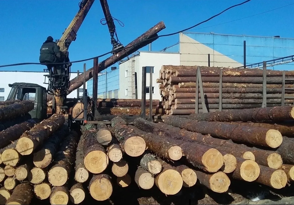 ❗ВНИМАНИЕ НА ПИЛОРАМУ ТРЕБУЮТСЯ СОТРУДНИКИ ❗

 📍Для распиловки кругляка (брусовал, многопил) требую