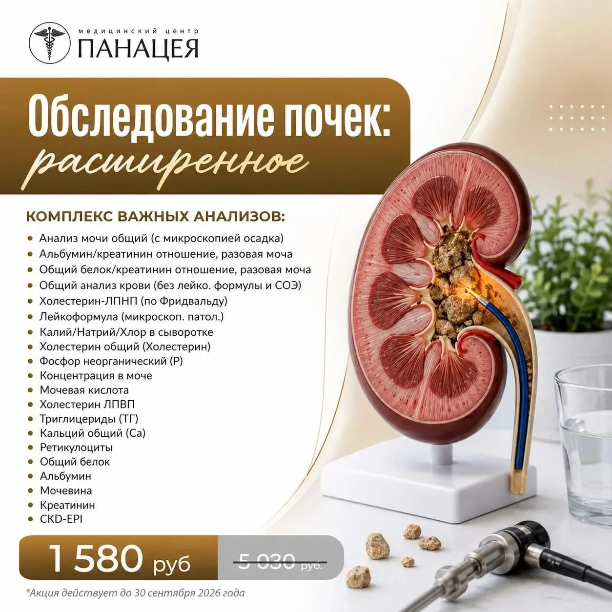 🩺 Заботитесь о здоровье почек?