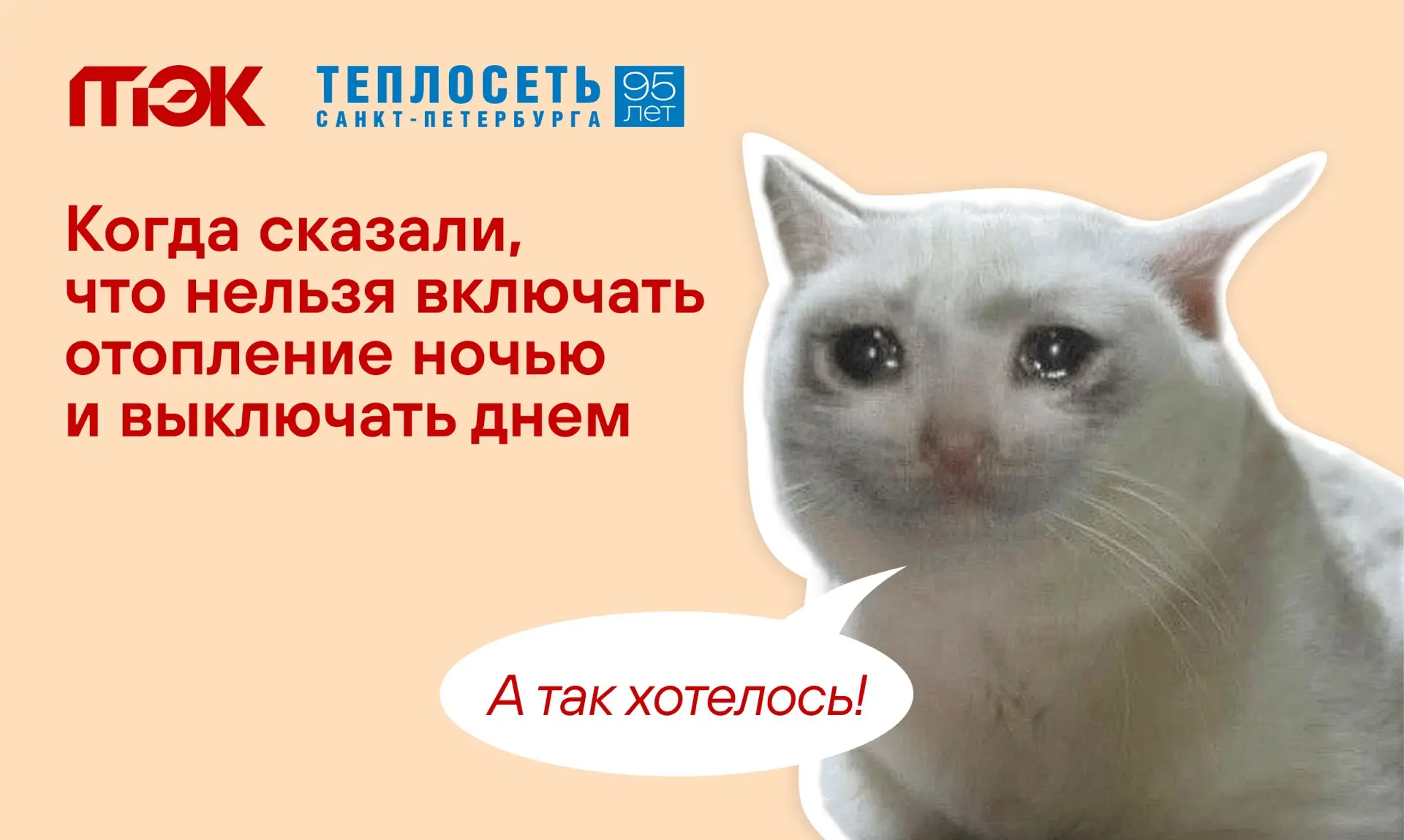 🥶 Ночью в Петербурге уже холодно, а днем снова вполне комфортно. Кажется, идеальное ре...