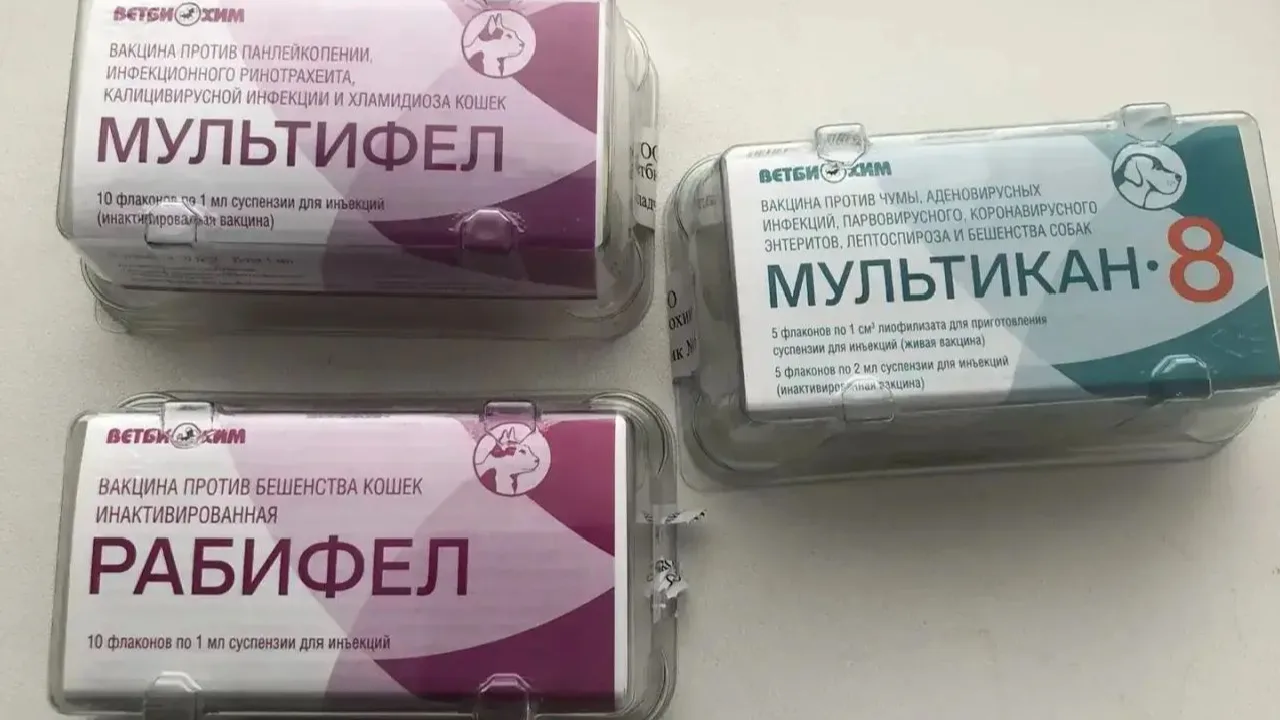 Рады сообщить: в ветеринарную аптеку ГБУ «Апастовское РГВО» поступила новая партия вакцин!