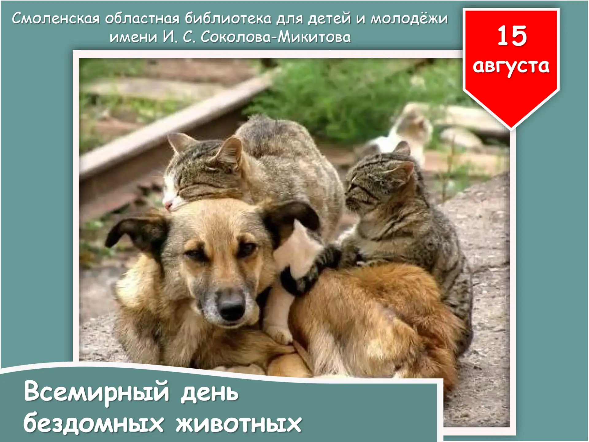 📅 15 августа – Всемирный день бездомных животных  🐈🐕 Дата, призванная привлечь внима...