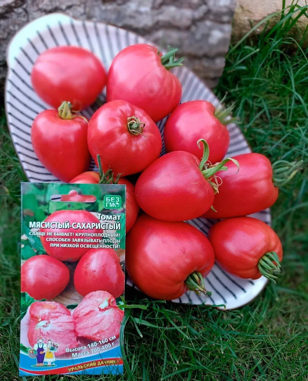 Томат Мясистый-сахаристый

🍅 слаще не бывает!
🍅 завязывает плоды при пониженной освещённости
🍅 ма