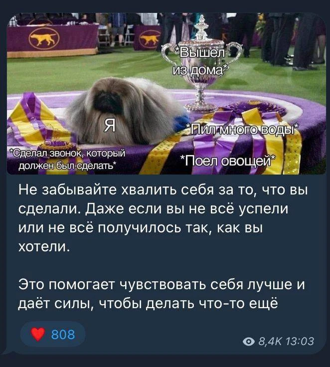 Ребята, а как мы превратились из людей с большими мечтами в людей, которые лайкают пост...