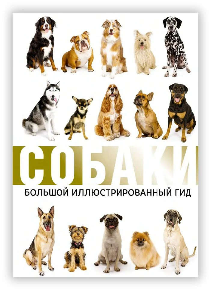 БАРАНОВСКАЯ И. СОБАКИ. БОЛЬШОЙ ИЛЛЮСТРИРОВАННЫЙ ГИД

 
Как известно, более верного и преданного друг