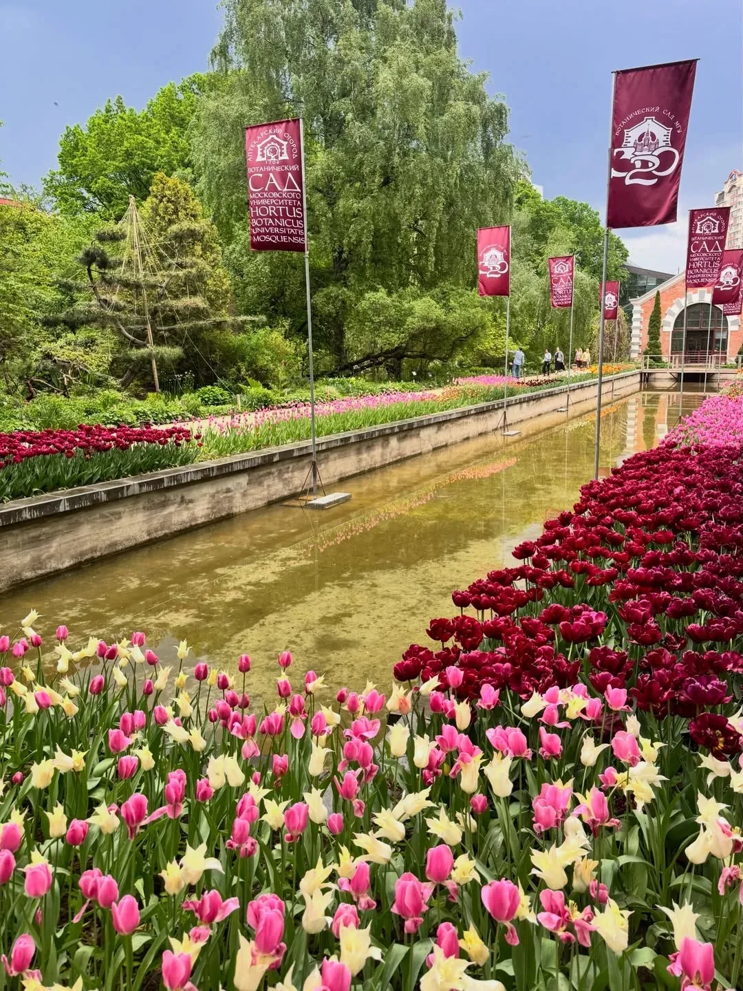 Красота в Аптекарском огороде 😍🌷🌷🌷  📍Проспект Мира, 26/1