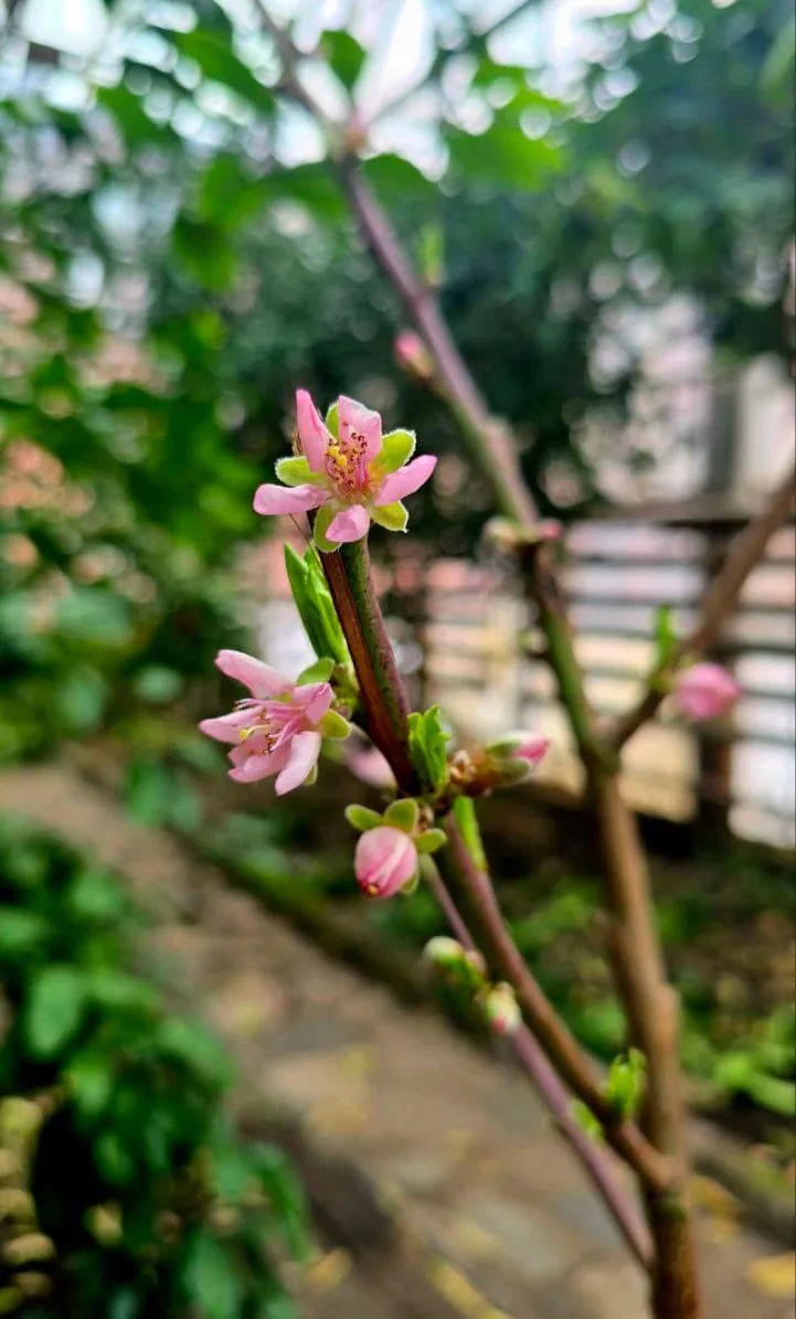 🌸 Успели уже ощутить наступление весны или пока только настраиваетесь, ожидая тепла и солнца?  Мы во