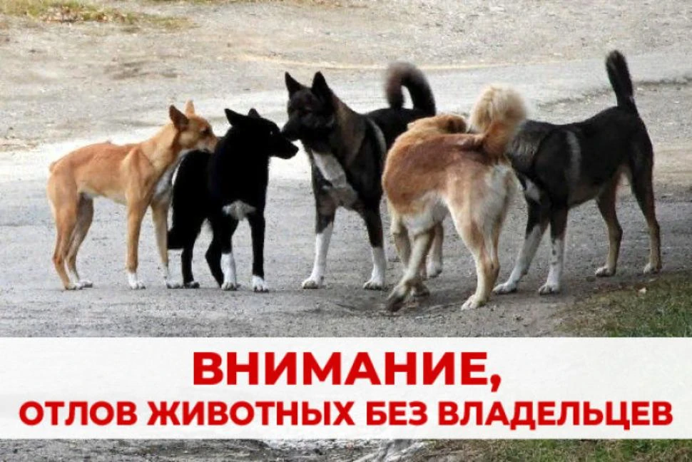 Уважаемые жители!