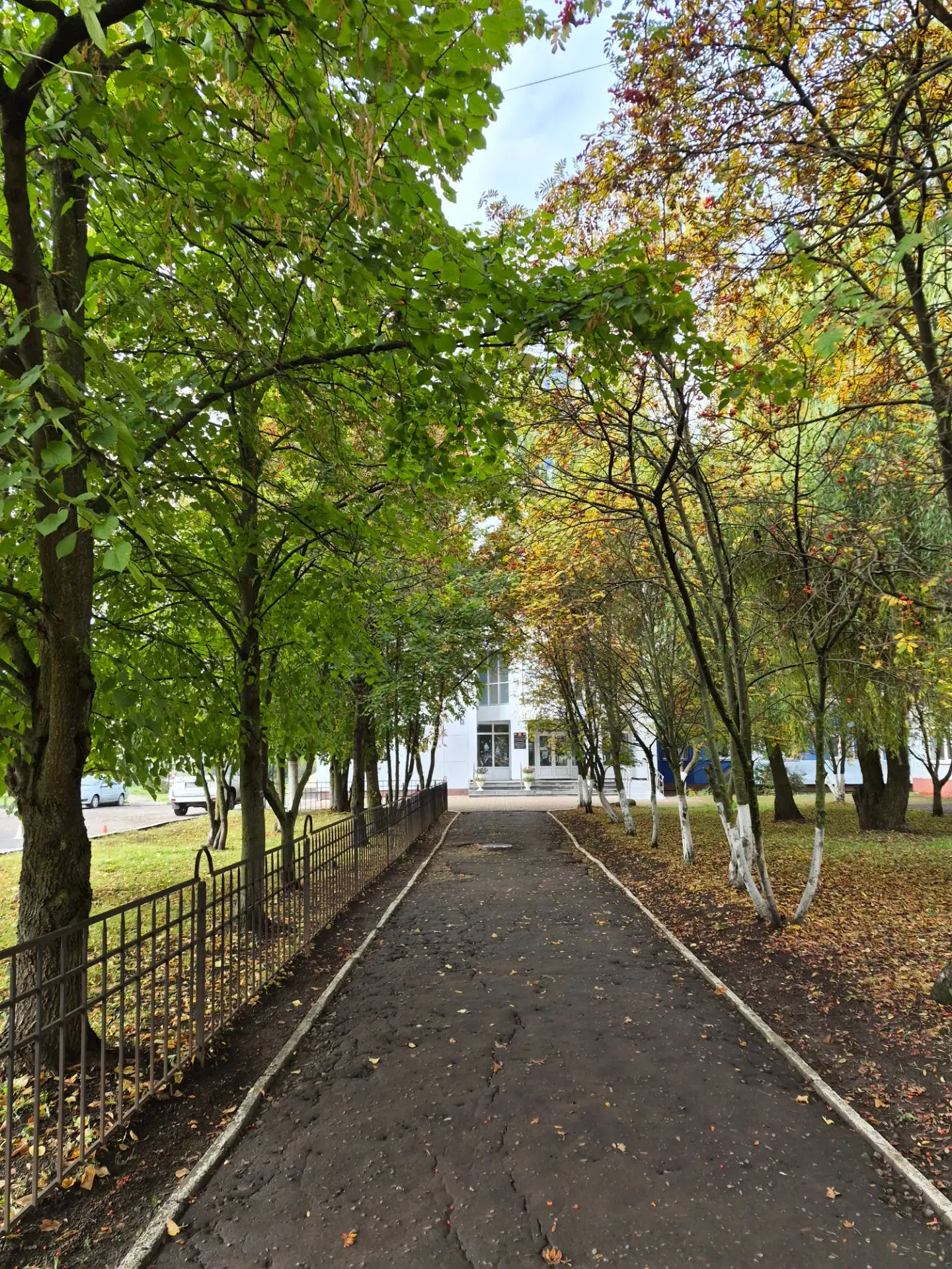 🍁 Эстетика пути: последний сентябрьский понедельник
