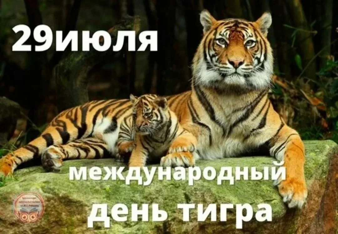 🐅ДЕНЬ ТИГРА В ДЕТСКОМ САДУ🐅
29 июля – Международный день тигра, который проводится с целью информи