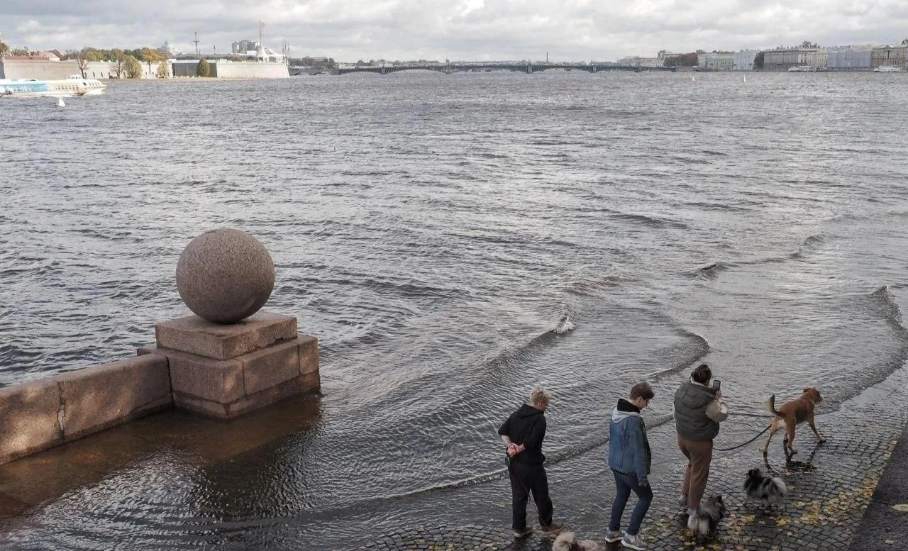 🌊 Уровень воды в Неве поднялся выше нормы