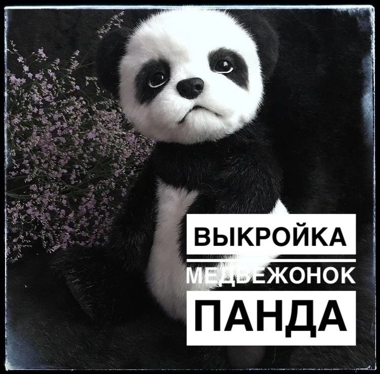 Панда