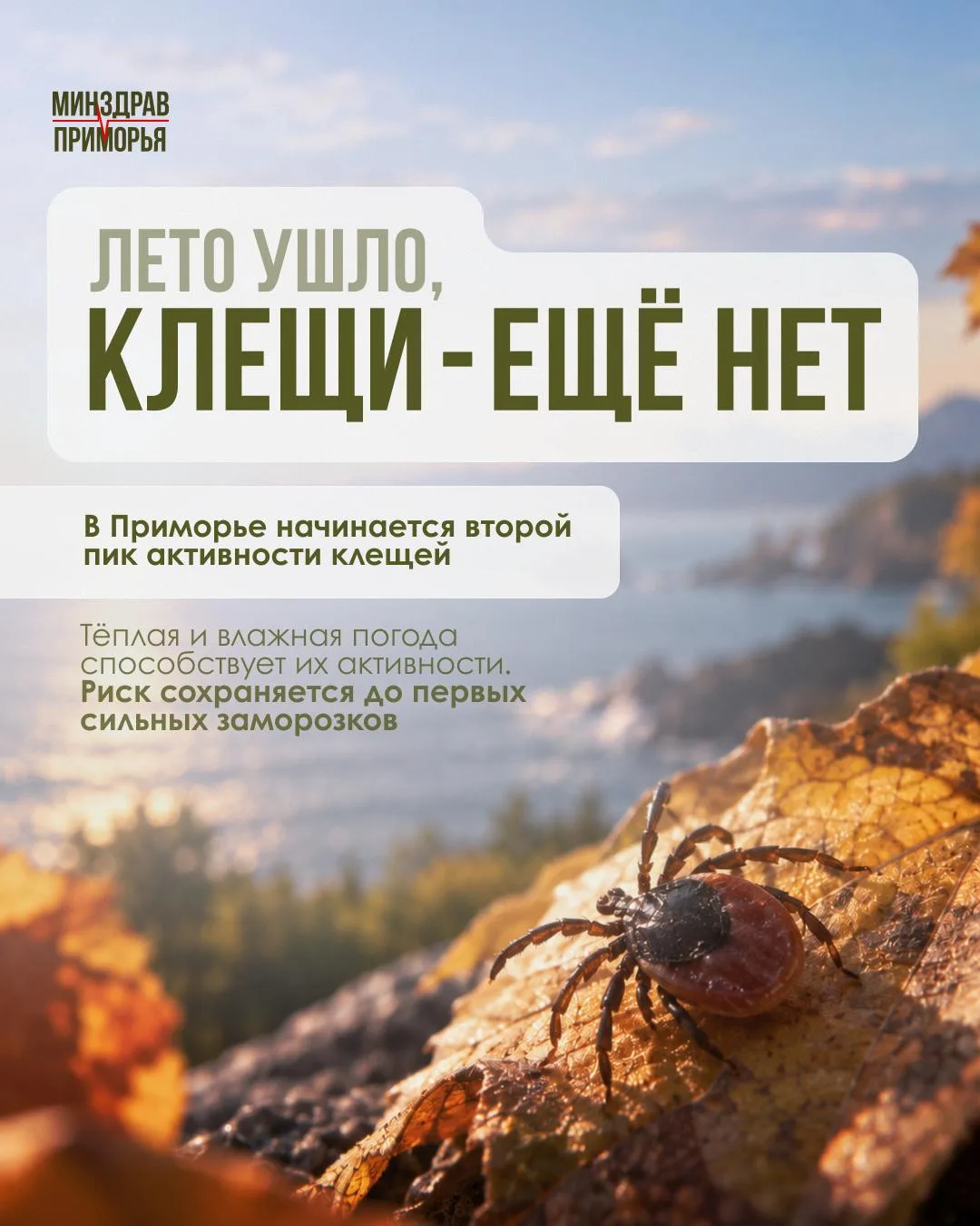 Осторожно, клещи!..