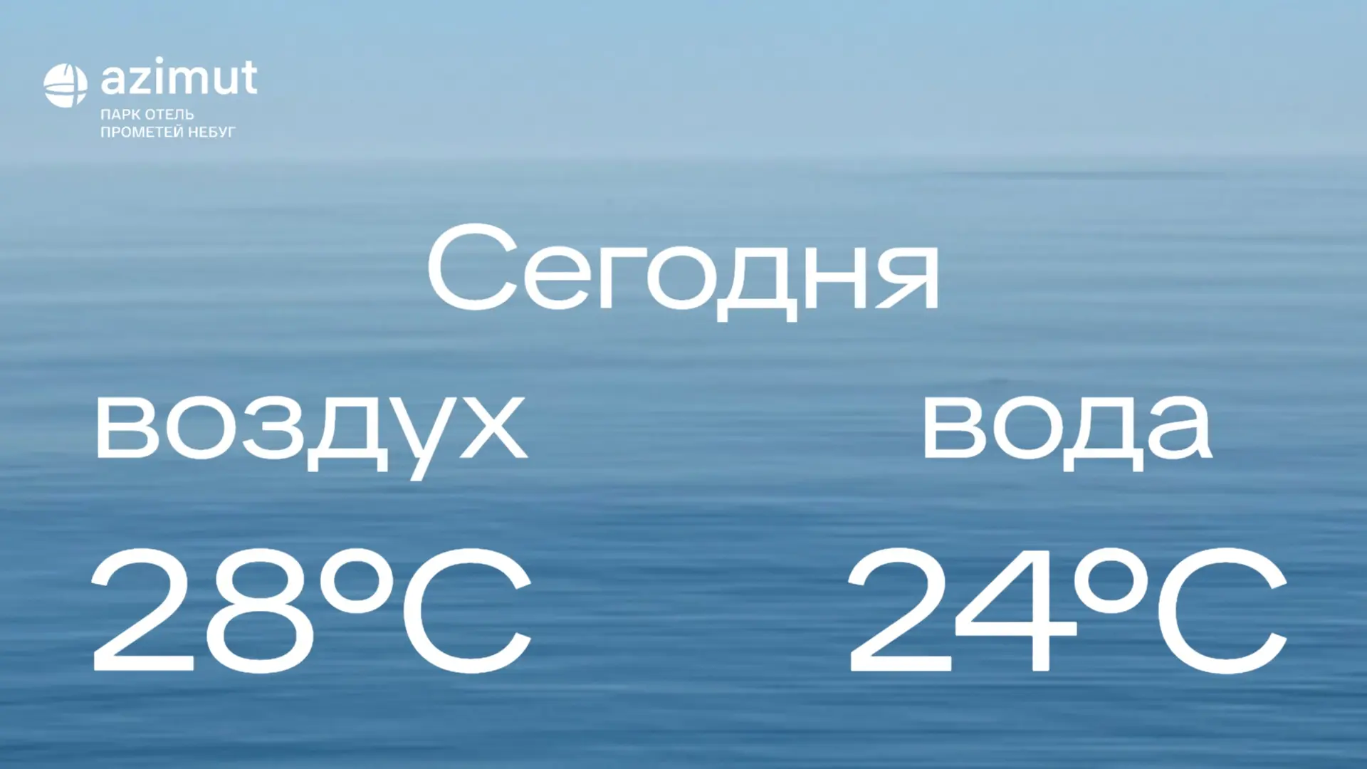21.07.26 🐬