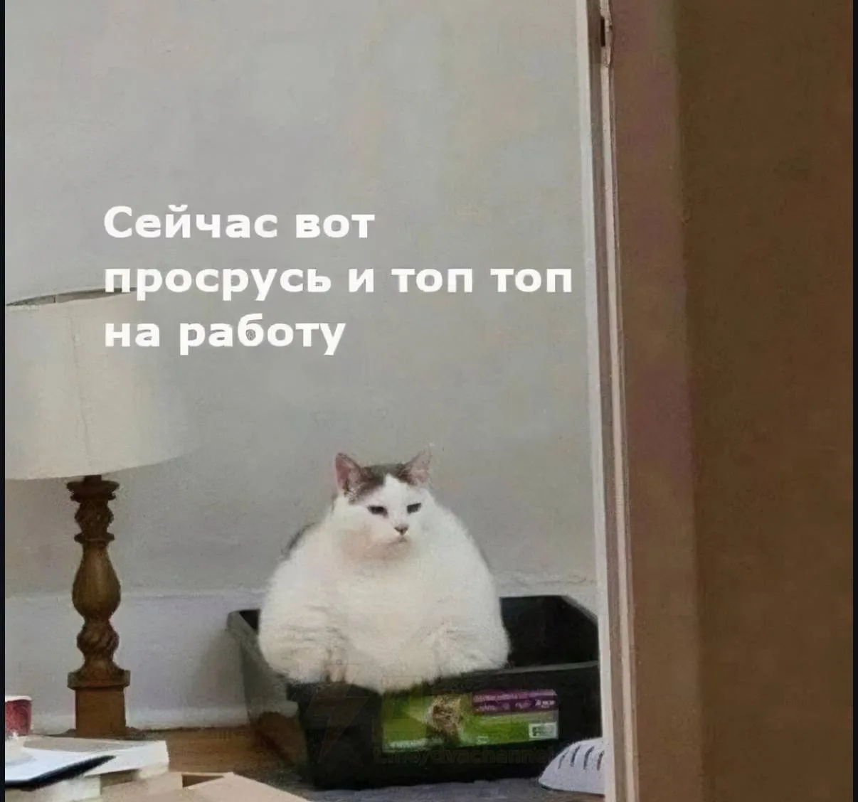 МЕМАСНАЯ
