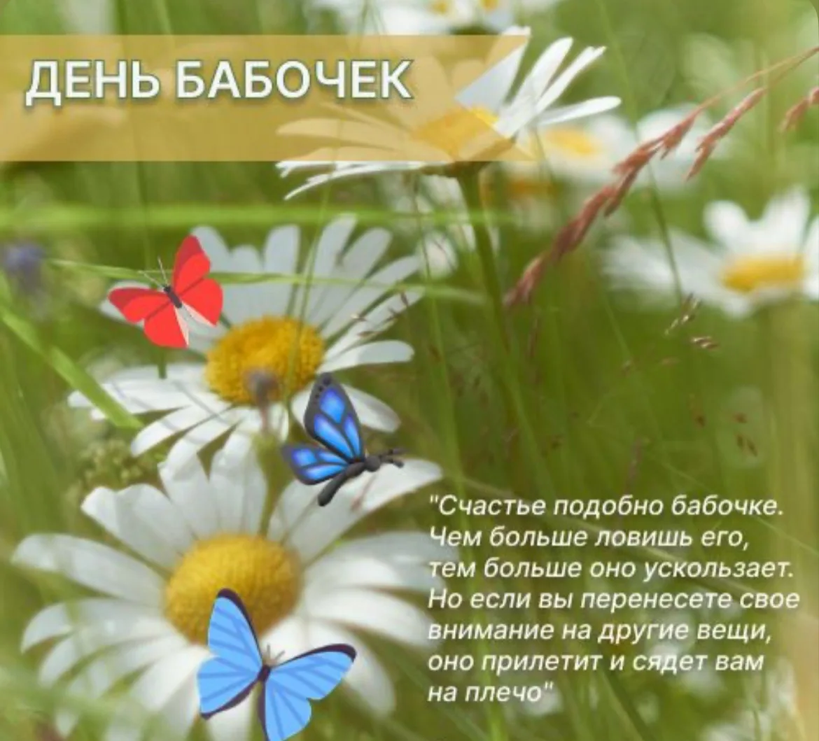 🦋 Сегодня  в России отмечают День бабочек!