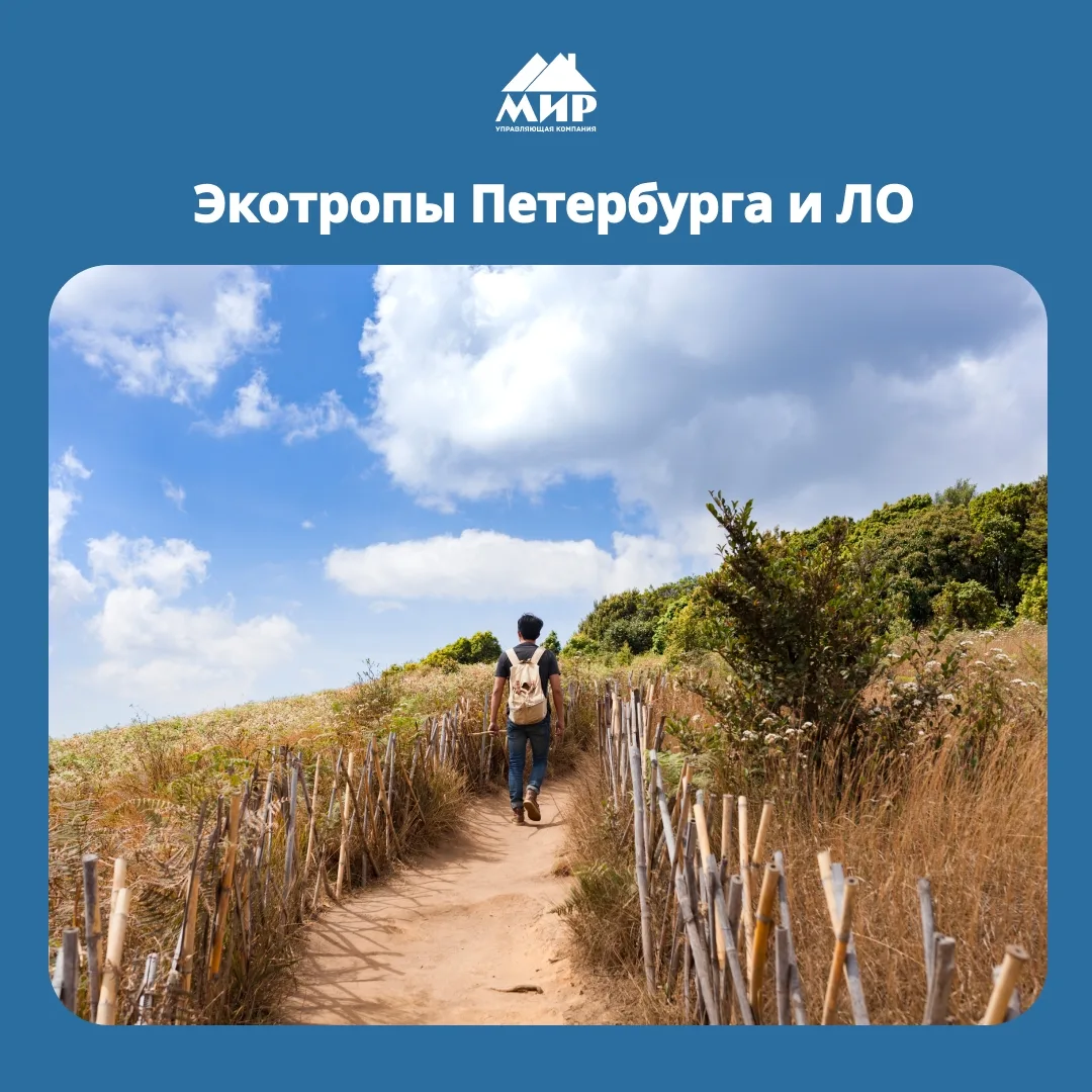 🌿 Хотите отдохнуть на природе, не уезжая далеко от города?