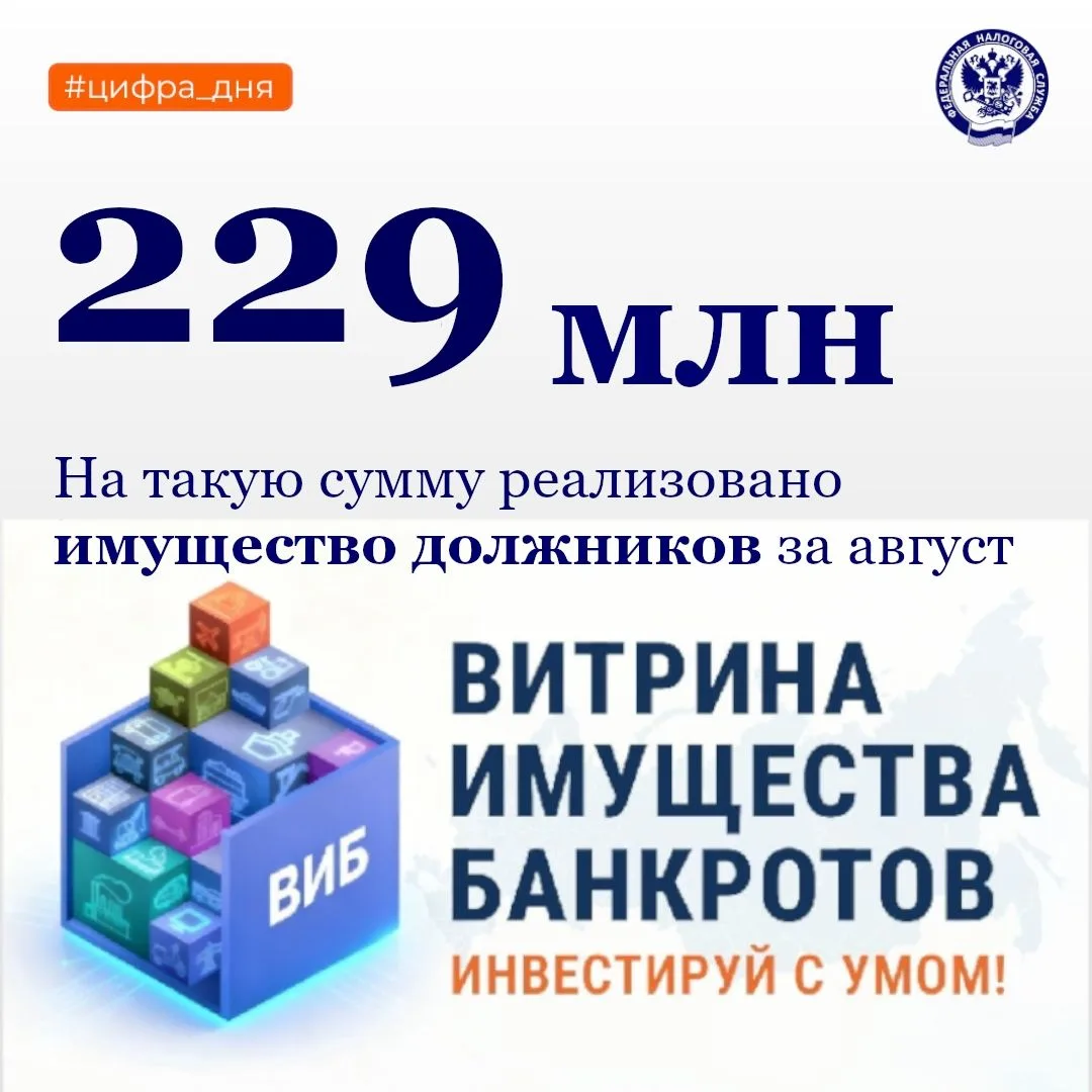 В Татарстане за август реализовано 53 объекта имущества должников на сумму 229 млн. руб...