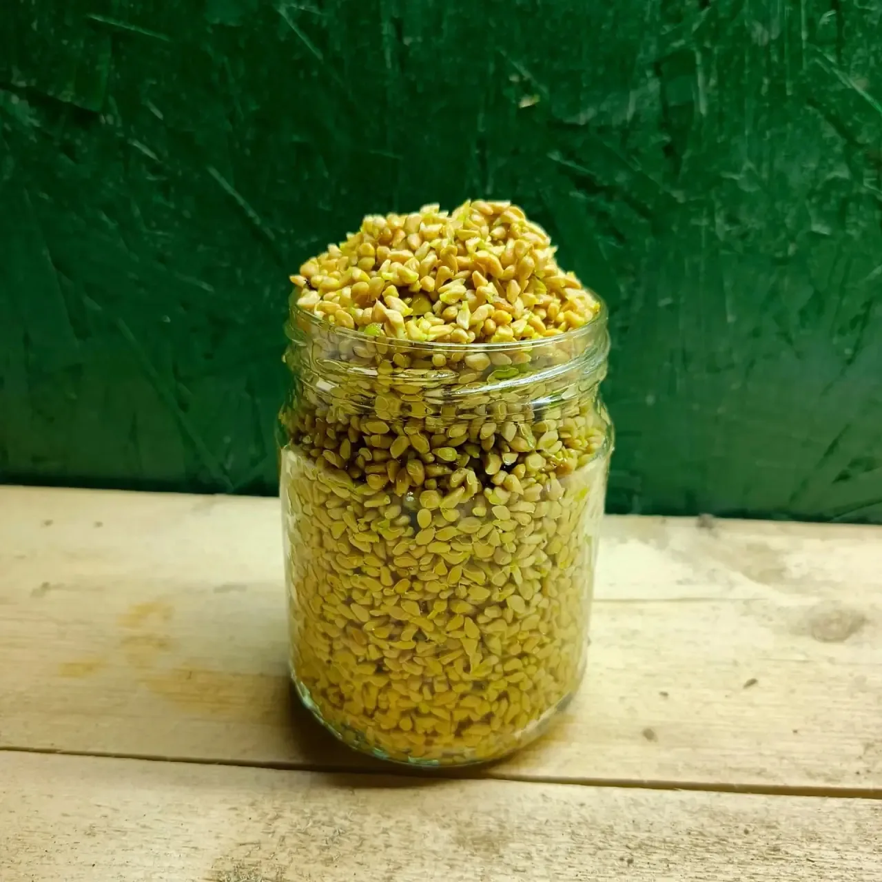 Продам шиповник «Лакса»