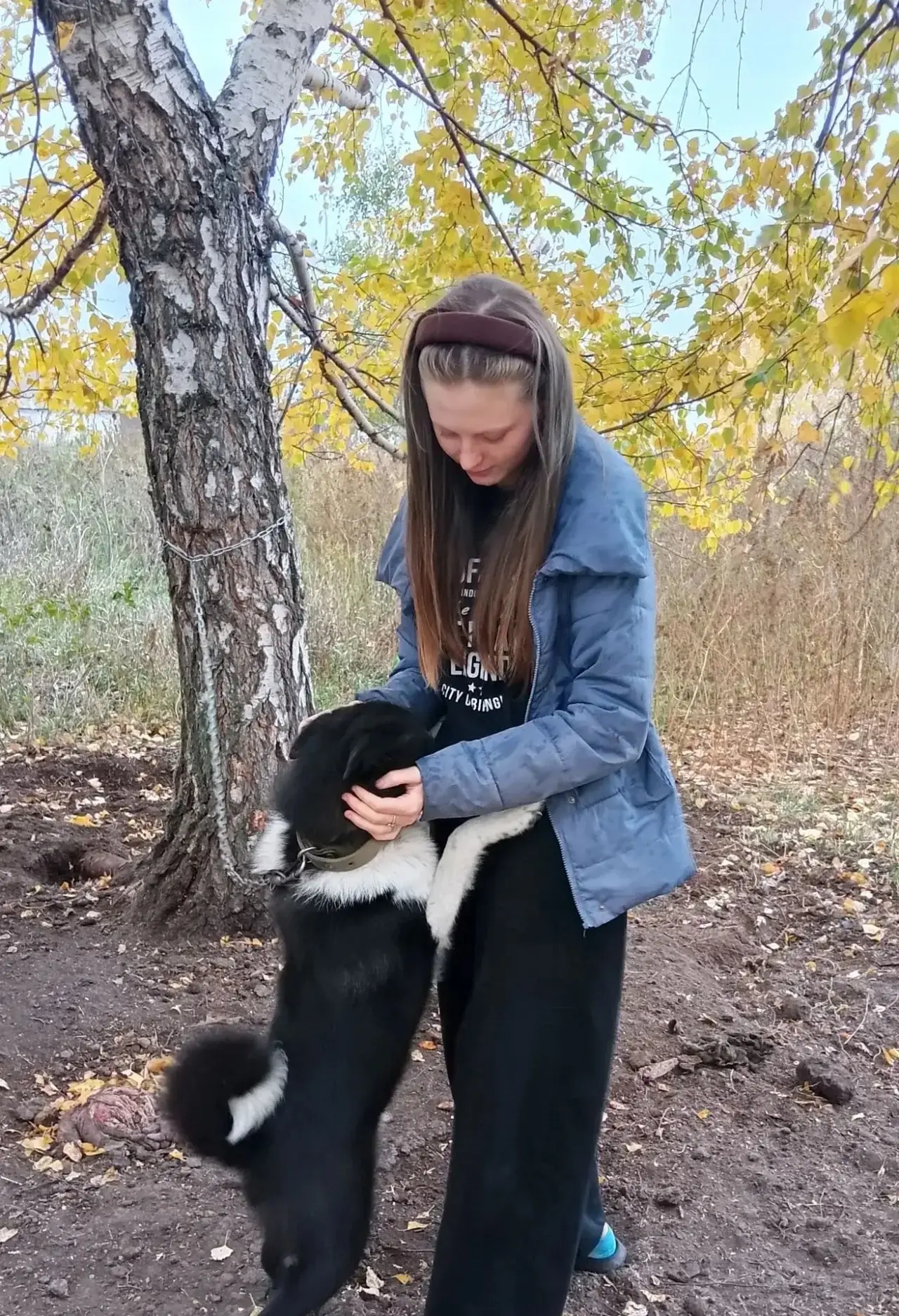 04 октября День защиты животных🐶🐱 «Мой любимый питомец»: История любви в каждом кадре ❤️