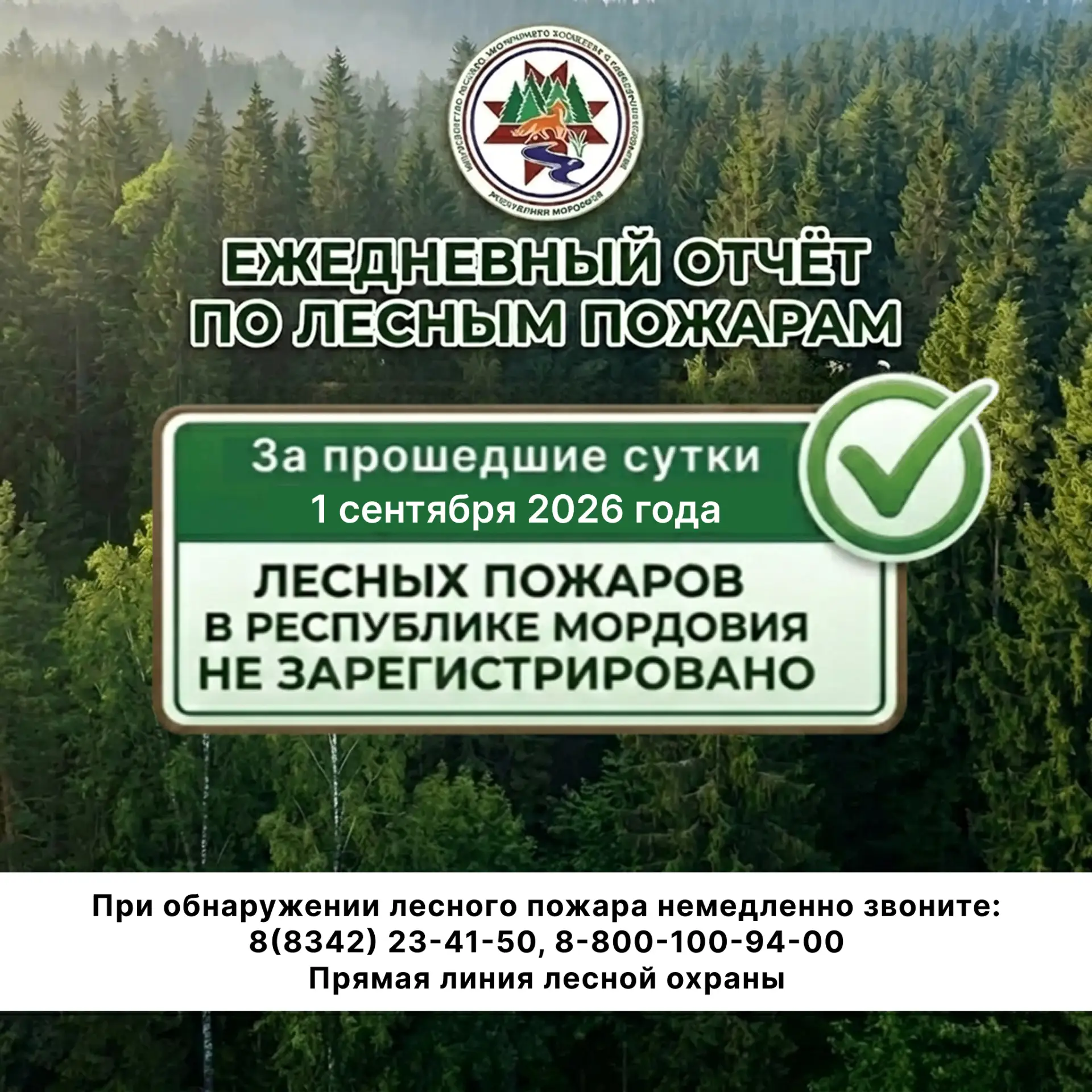 В Мордовии на данный момент лесных пожаров нет✅