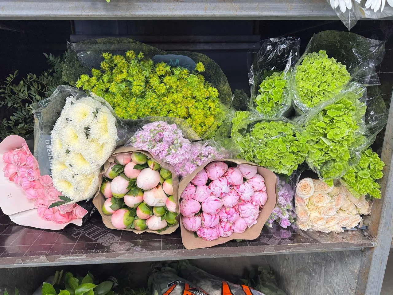 Сезон Пионов