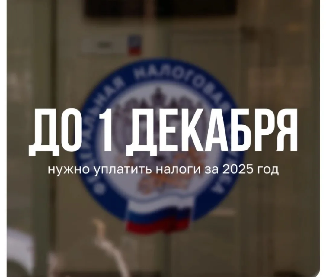 📁📆 Налоги за 2025 год нужно уплатить до 1 декабря 2026 года