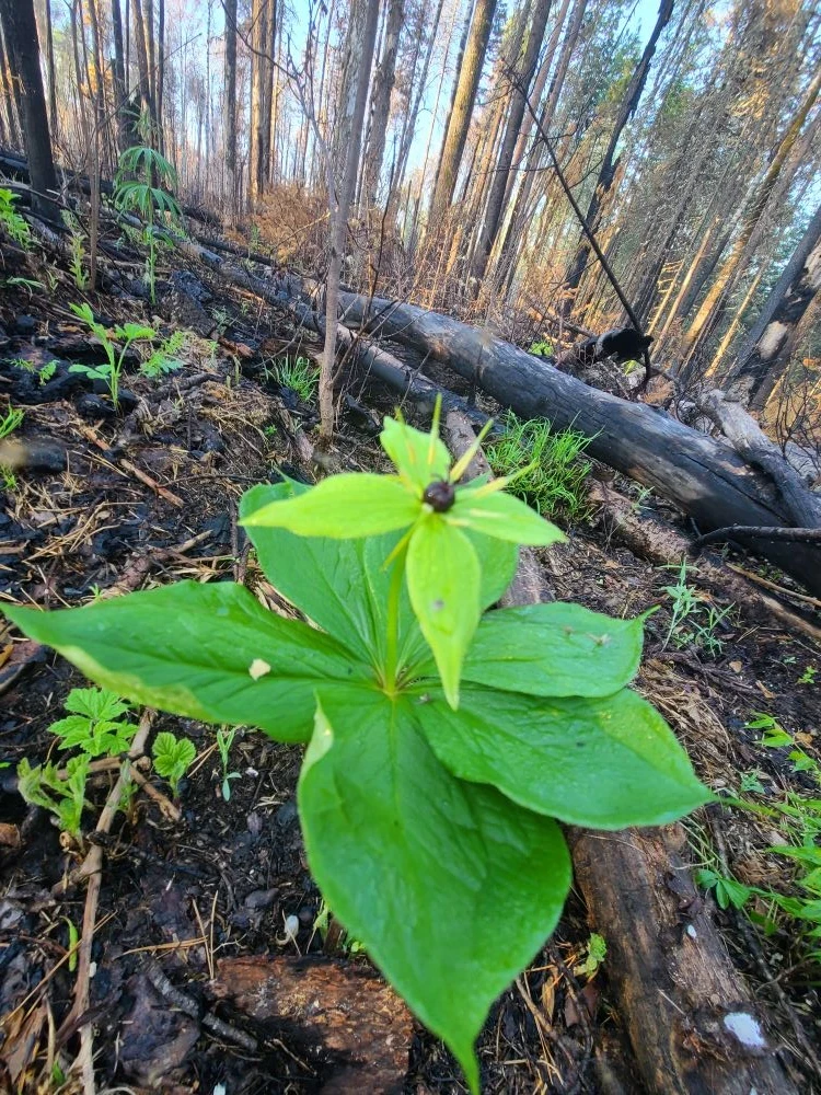 🤩 Доброе утро, крутинцы!

💚 Еще чуть-чуть и наступят выходные. Главное, правильно и с пользой пров