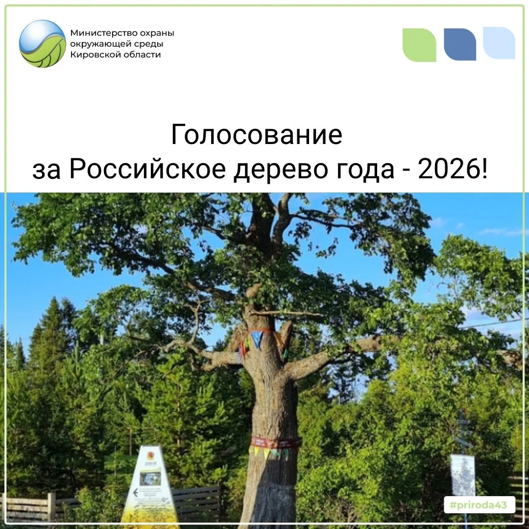 #МКУ_КикнурскаяЦБС                                                                     ...