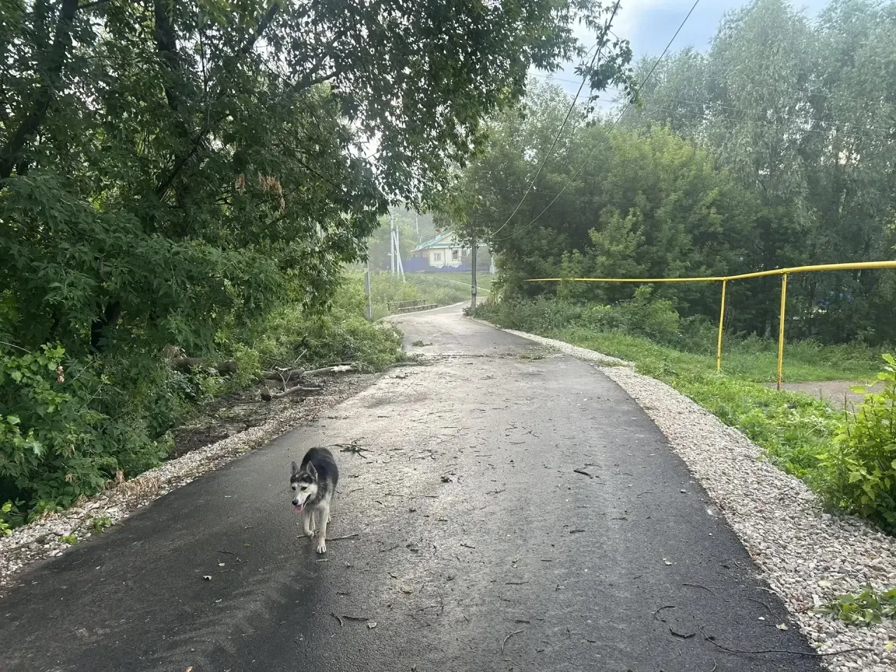 Продолжаем, устранять последствия стихии 🦾🤝