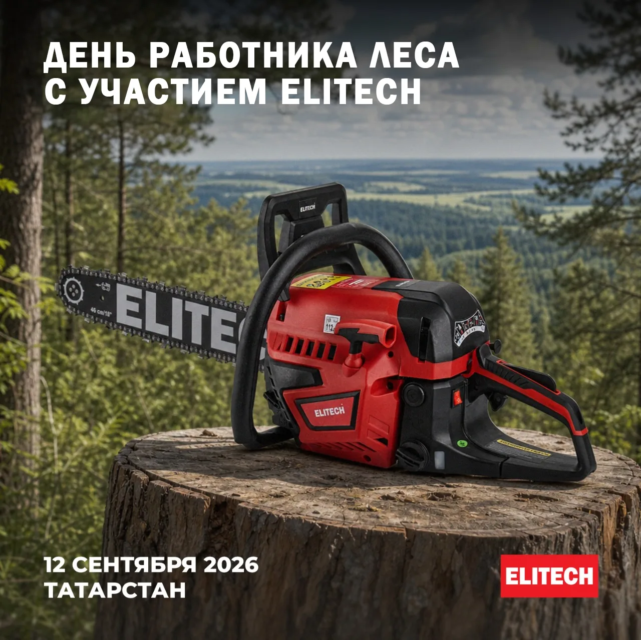 🌲 ELITECH на Дне работников леса!