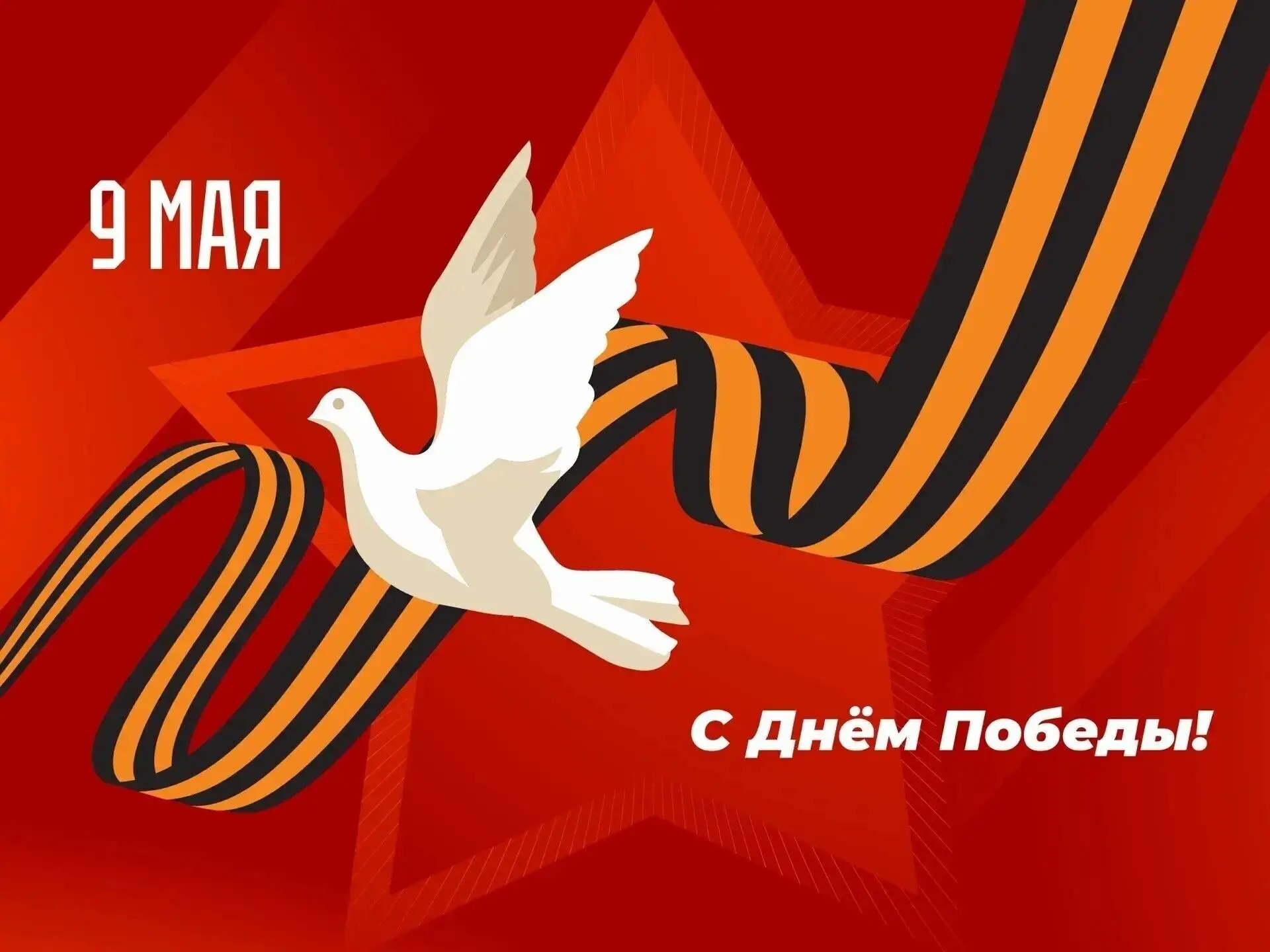 Уважаемые спортсмены, тренеры-преподаватели и все любители спорта❗