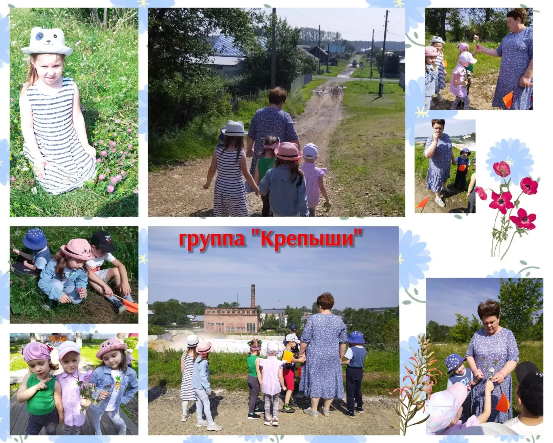 С ребятами группы "Крепыши" была проведена целевая прогулка "Знакомство с растениями ро...