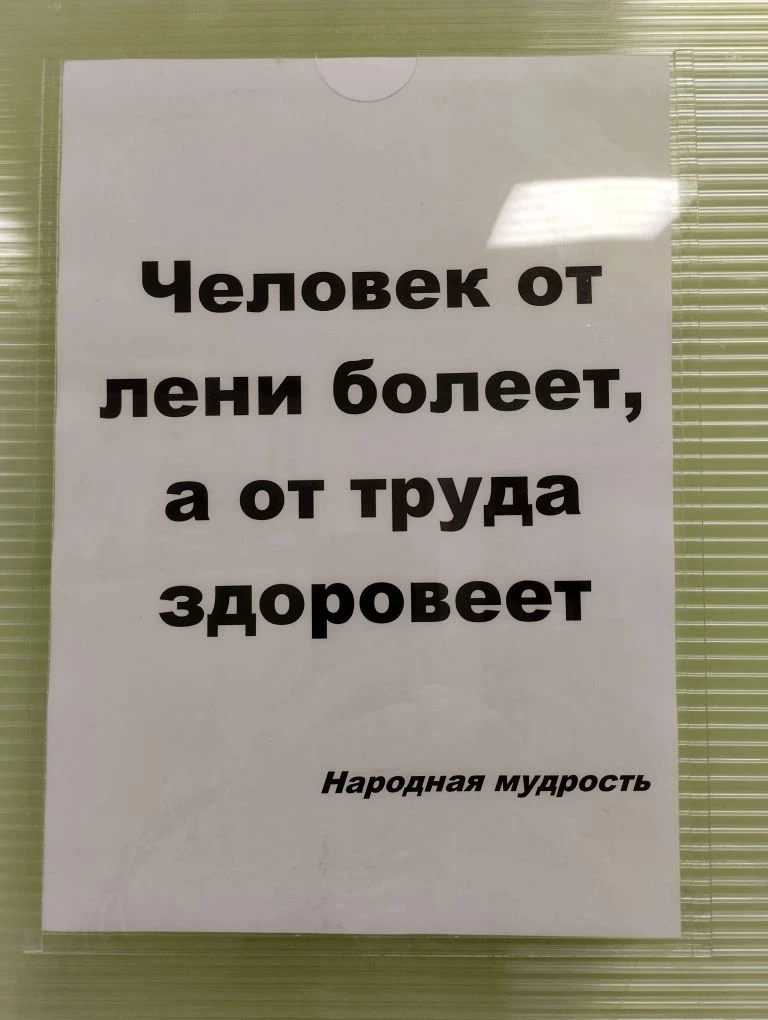 Все мы иногда ленимся, и это нормально!🦥  Но лень не должна становиться образом жизни, ведь бездейст