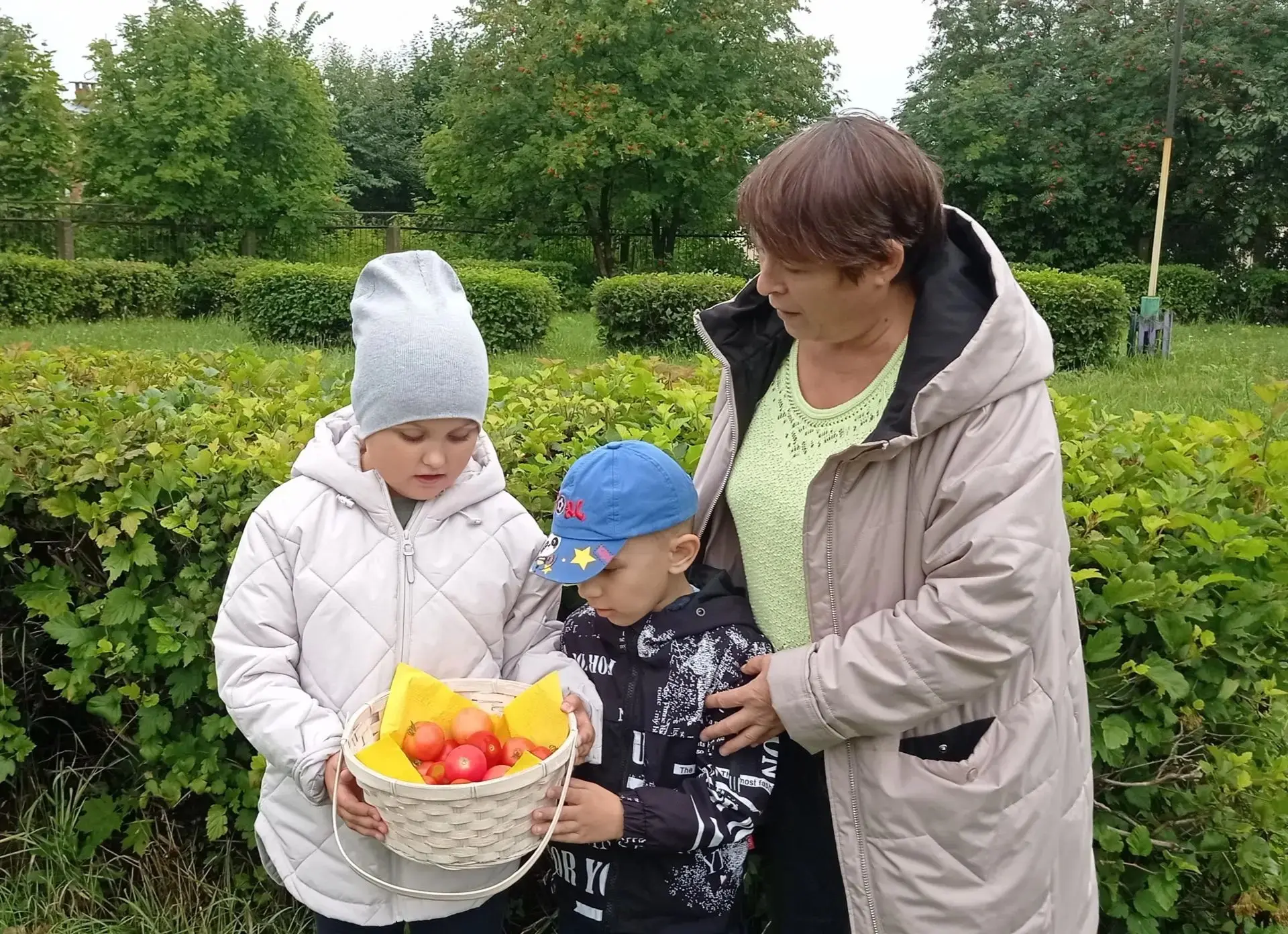 ПЕРВЫЕ ПЛОДЫ ЗАБОТЫ: ДОШКОЛЯТА СОБРАЛИ УРОЖАЙ СО СВОЕГО МИНИ-ОГОРОДА