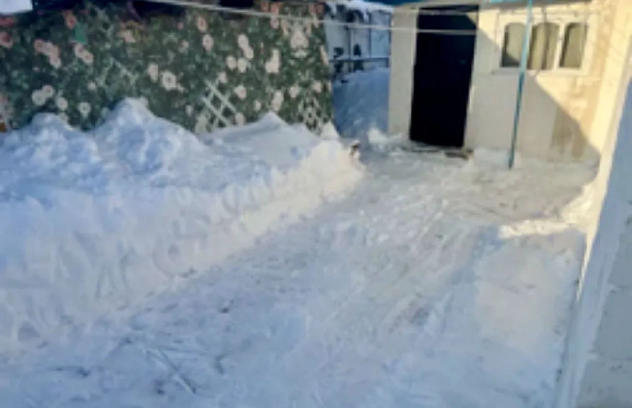 🙏Морозы отступили, и волонтеры продолжают бороться со снежной стихией!   ❄️🧹Воспитанники волонтерско